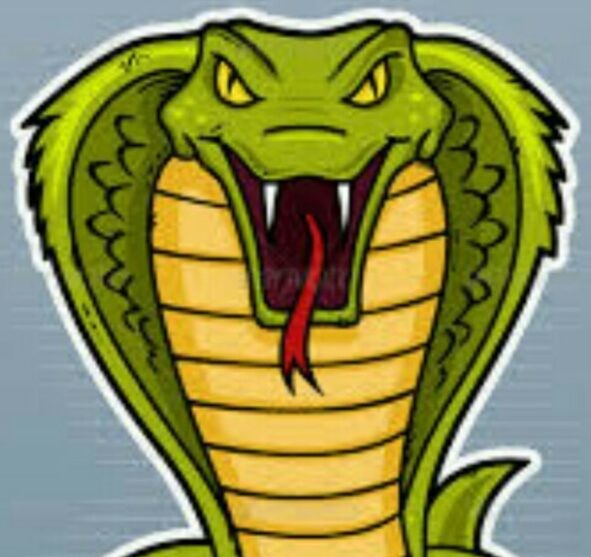 COBRA